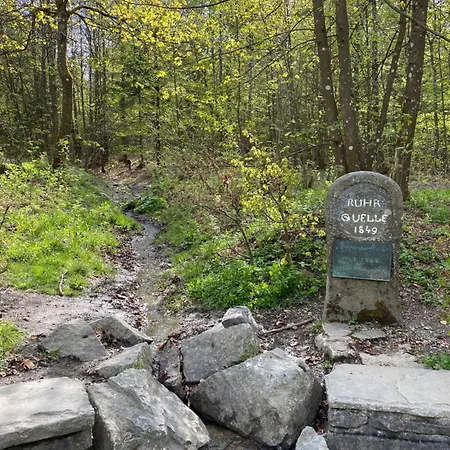 Dein - Wifi Geschirrspueler Smart Tv Apartman *