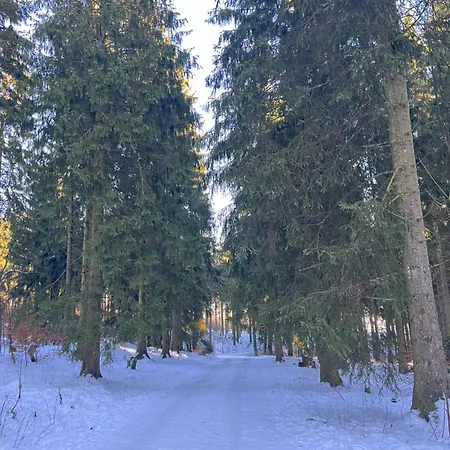 Dein - Wifi Geschirrspueler Smart Tv Apartment