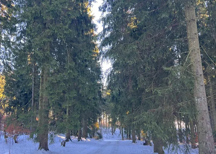 Dein - Wifi Geschirrspüler Smart Tv Apartamento